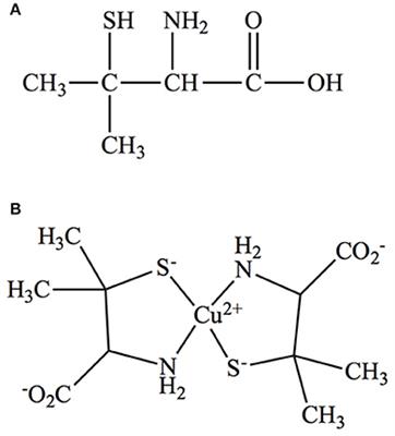 Chemosensitivity of <mark class="highlighted">U251 Cells</mark> to the Co-treatment of D-Penicillamine and Copper: Possible Implications on Wilson Disease Patients